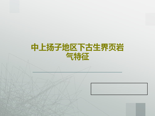 中上扬子地区下古生界页岩气特征共59页文档