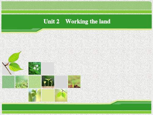 英语(人教版必修4)课件：unit 2 period 1 warming up reading