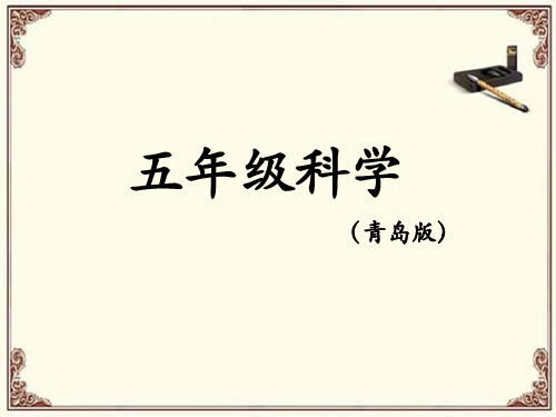 五年级科学下册--第二单元(青岛版)