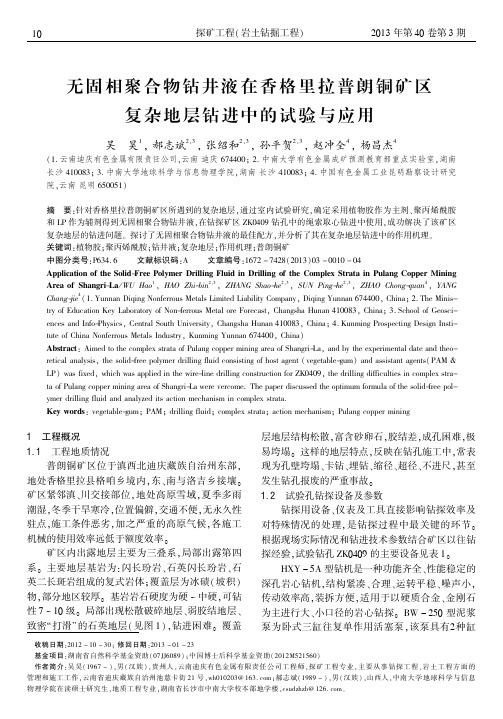 无固相聚合物钻井液在香格里拉普朗铜矿区复杂地层钻进中的试验与应用