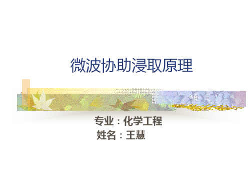 微波协助浸取原理2