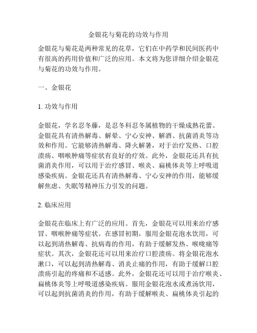 金银花与菊花的功效与作用