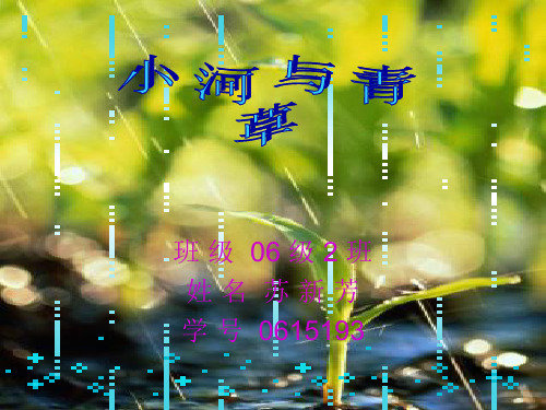 95小河与青草PPT课件