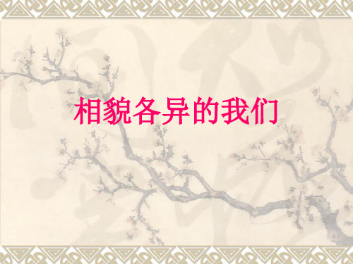 六年级上册科学课件-4.5 相貌各异的我们｜教科版 (共42张PPT)