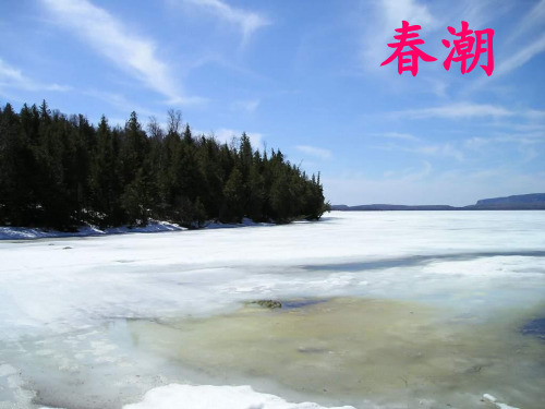 北师大版四年级语文下册《春潮》