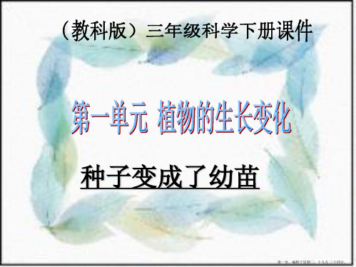三年级科学下册 种子变成了幼苗 5课件 教科版