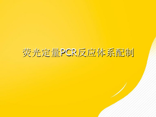 [正式版]荧光定量PCR反应体系配制ppt资料