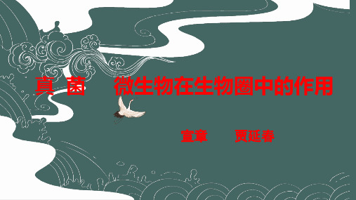 济南版真菌和微生物的作用说课课件2003