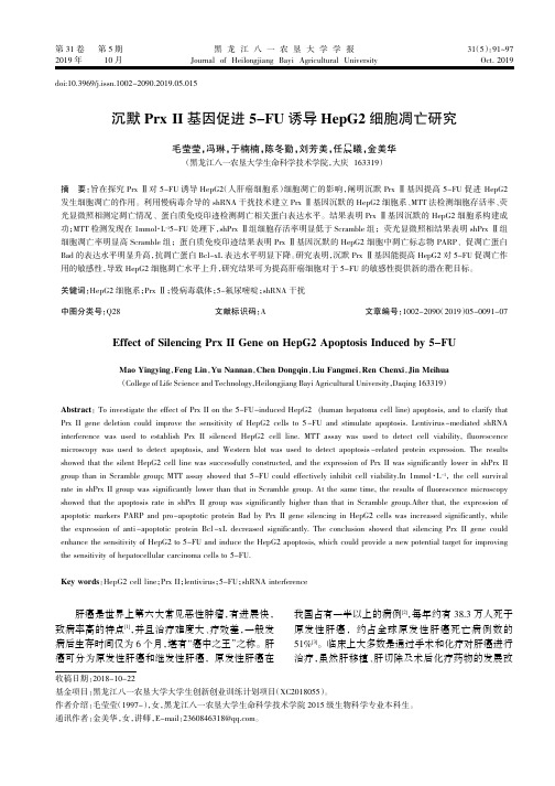 沉默PrxⅡ基因促进5-FU诱导HepG2细胞凋亡研究