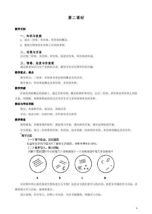 人教版高一生物必修二：5.2《染色体变异》a2教案.doc