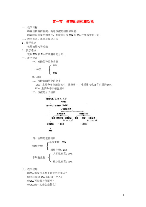高中生物 第二单元 细胞的自我保障 第二章 细胞中的核酸 第一节 核酸的结构和功能教案 中图版必修1