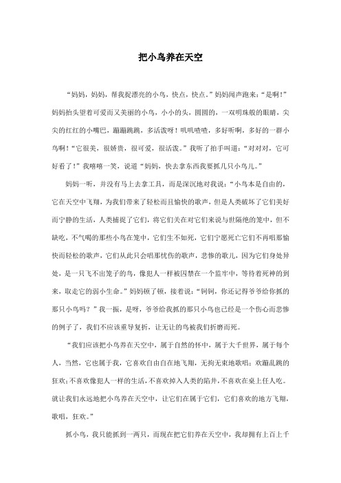 把小鸟养在天空_小学六年级作文700字