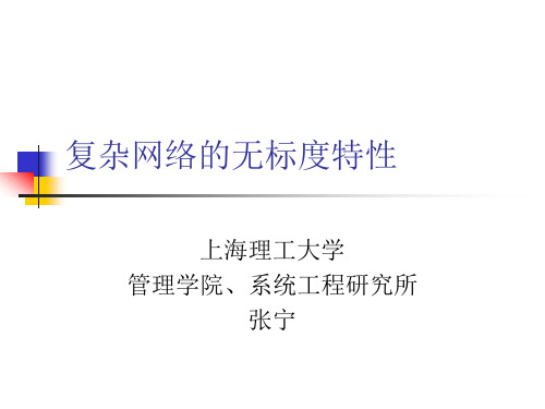 复杂网络的无标度特性