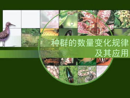 种群数量的变化规律及其应用