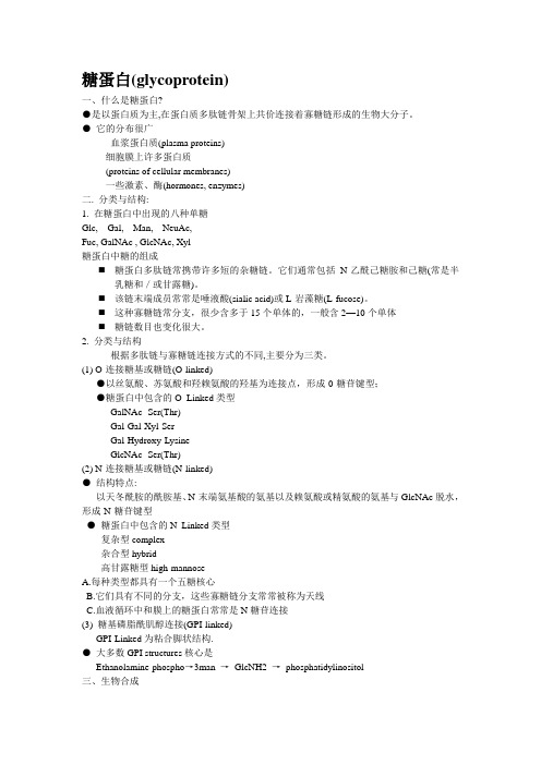 2-糖蛋白、细胞外基质内容