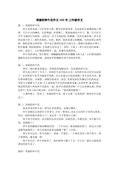 美丽的牵牛花作文200字_三年级作文