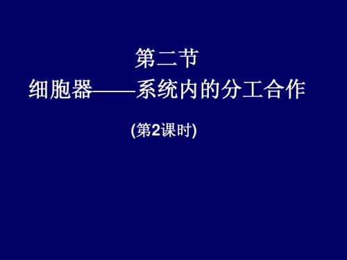 生物高中必修1第三章第二节课件2