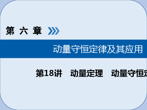 2019版高考物理大一轮复习第六章动量守恒定律及其应用第18讲动量定理动量守恒定律课件