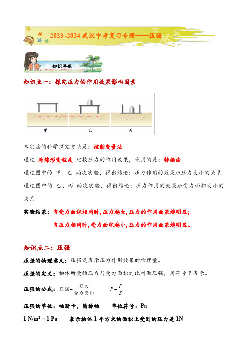 2024年中考物理复习专题——压强