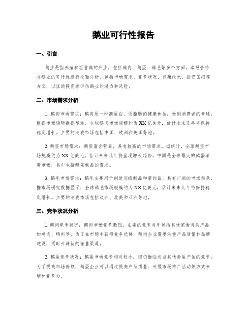 鹅业可行性报告