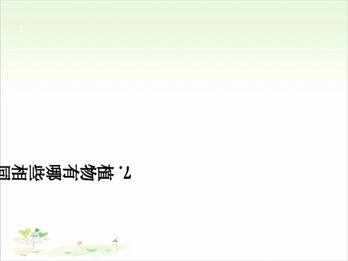 三年级上册科学-植物有哪些相同特点-教科版(共28张)-PPT课堂课件