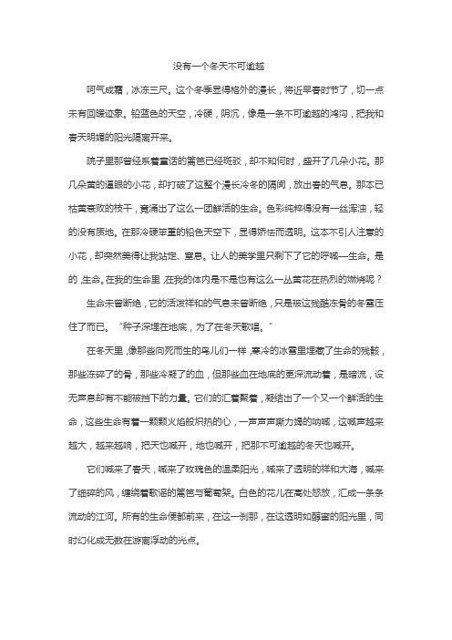 没有一个冬天不可逾越