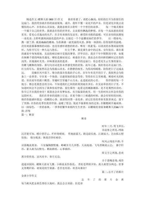 蝶舞天涯(900字)作文