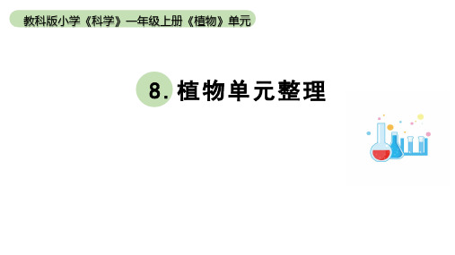 小学科学教科版一年级上册第一单元《植物》整理课件(2023秋新课标版)