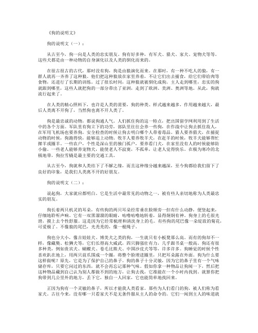 狗的说明文(精选12篇)_作文下载
