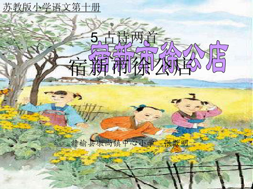 《宿新市徐公店》PPT课件_张敬明