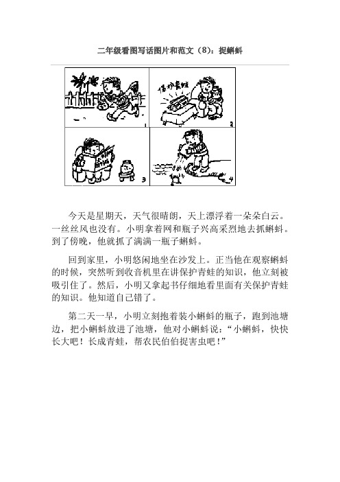 二年级语文作文：看图写话8