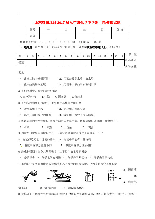 山东省临沭县九年级化学下学期一轮模拟试题(无答案)