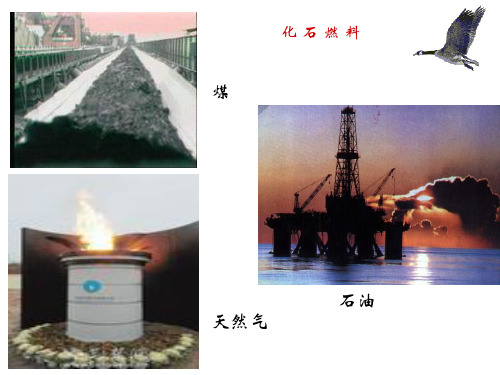 初中化学 洁净的燃料-氢气