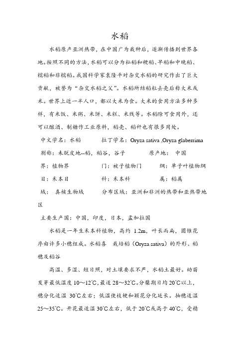 水稻 行业简介 分析
