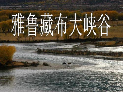2、雅鲁藏布大峡谷