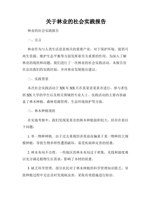 关于林业的社会实践报告