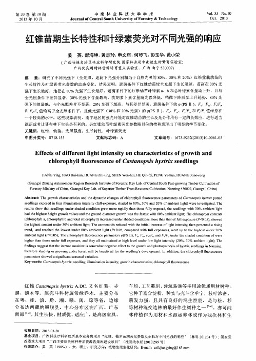 红锥苗期生长特性和叶绿素荧光对不同光强的响应