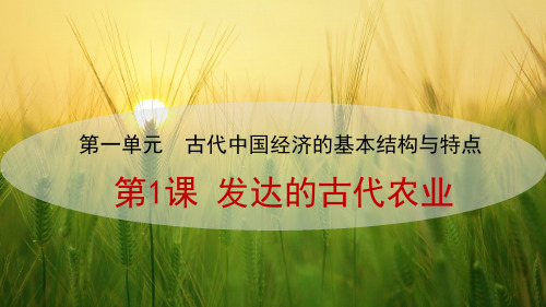 人教版高中历史必修2精品课件11：第1课发达的古代农业