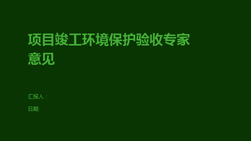 项目竣工环境保护验收专家意见