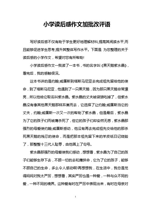 小学读后感作文加批改评语