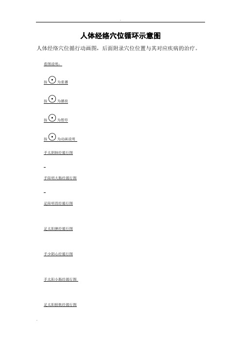 人体经络穴位循环示意图