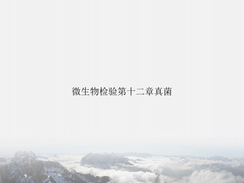 微生物检验第十二章真菌专选课件