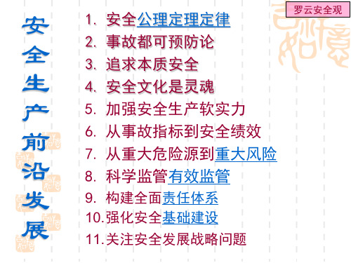 安全经济学9.5安全经济学教学课件PPT (罗云安全观)