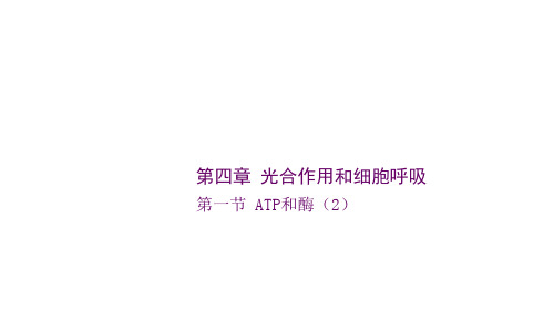 苏教版高中生物必修一课件第四章第一节 ATP和酶227张PPT