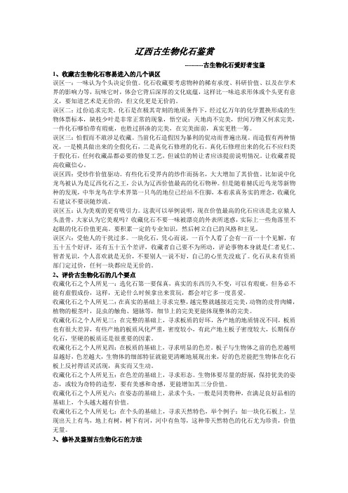 辽西古生物化石鉴赏