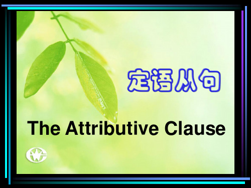 高中英语定语从句详解(绝对经典课件)_2
