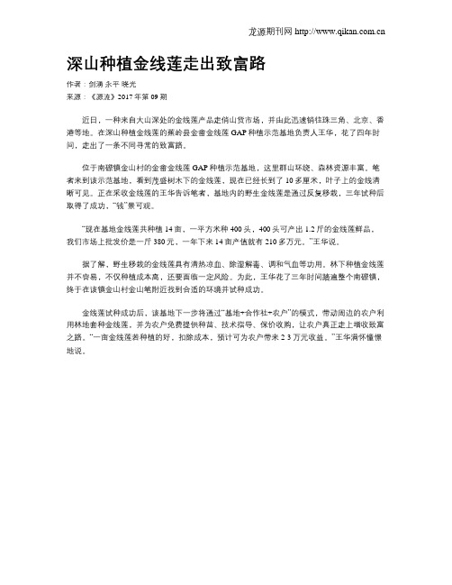 深山种植金线莲走出致富路