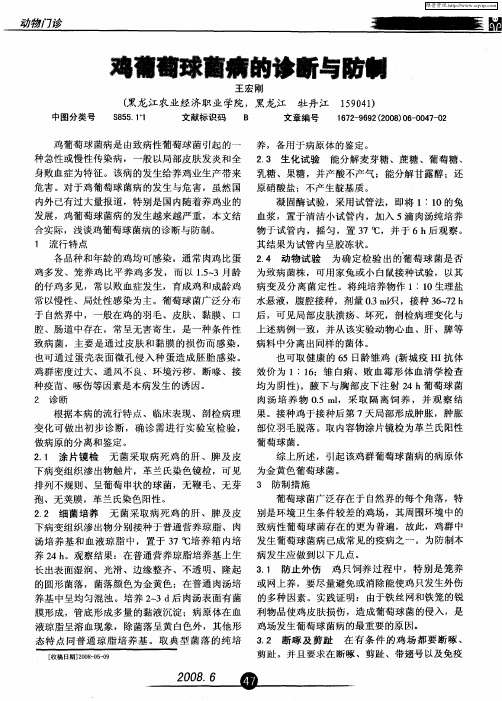 鸡葡萄球菌病的诊断与防制