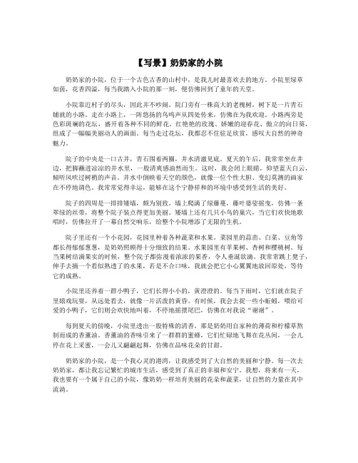 【写景】奶奶家的小院