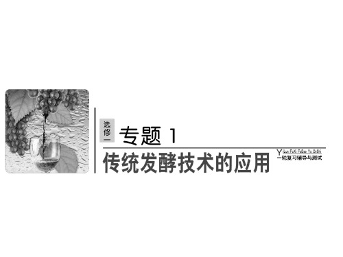 高考生物一轮复习课件选修1 生物技术实践1